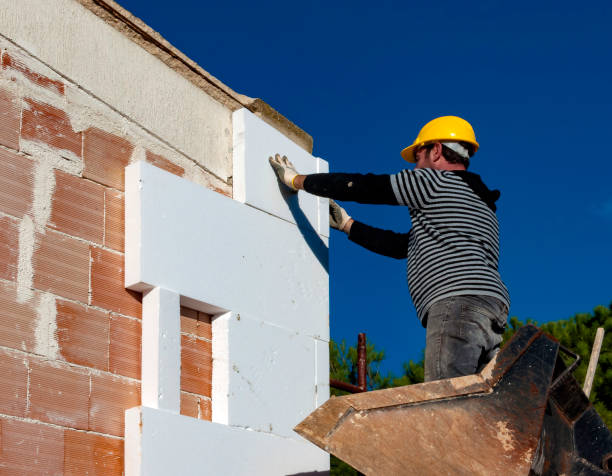 Best Garage Insulation Installation  in Gower, MO