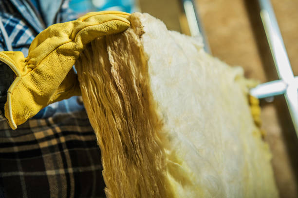 Best Insulation Inspection Services  in Gower, MO