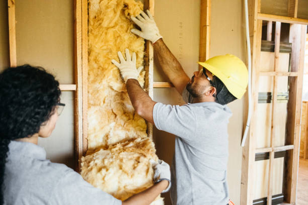 Best Crawl Space Insulation  in Gower, MO