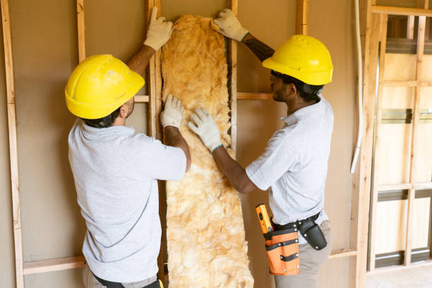 Best Blown-in Insulation  in Gower, MO