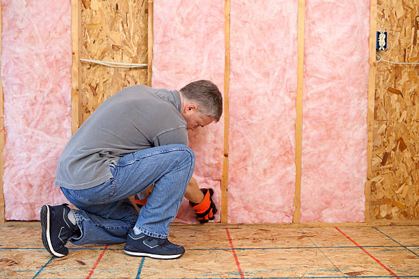 Best Spray Foam Insulation  in Gower, MO