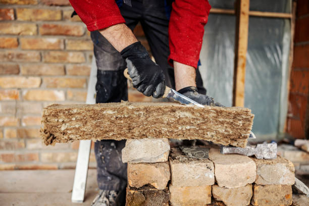 Best Insulation Removal Services  in Gower, MO