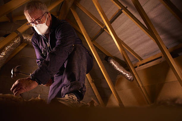 Best Insulation Contractor Near Me  in Gower, MO