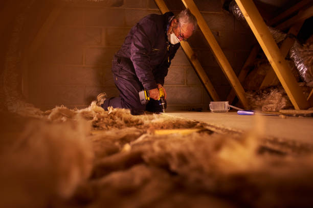 Best Best Insulation Companies  in Gower, MO